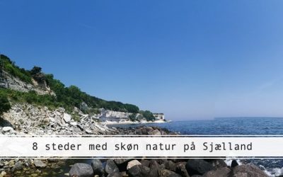 Natur på Sjælland – 8 skønne perler