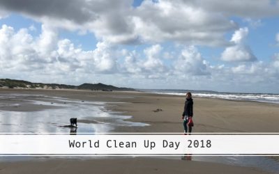 World Cleanup Day 2018: En formiddag ved vestkysten