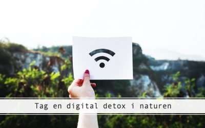 Digital detox – gå offline i naturen
