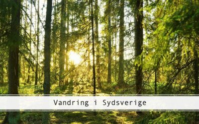 Vandring i Sydsverige: Alt du har brug for at vide