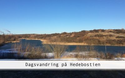 Hedebostien: Dagsvandretur på Sjælland
