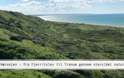 Hærvejen – eventyrlig vandring mellem Fjerritslev og Tranum