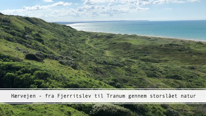 Hærvejen – eventyrlig vandring mellem Fjerritslev og Tranum