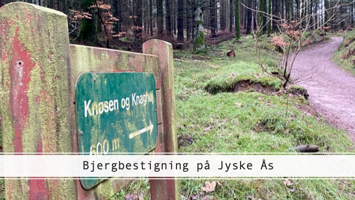 Jyske Ås